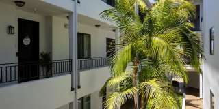 Vista Paradiso Gallery 10