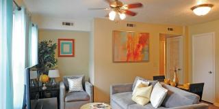 Garden Cove Gallery 11