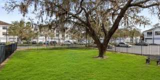 Citrus Village Gallery 26