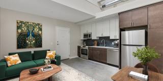 The Carousel Gallery 35