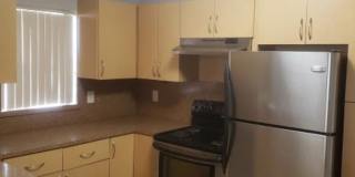 4096 N Pine Island Road Gallery 6