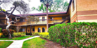 2661 SABAL SPRINGS CIRCLE Gallery 1