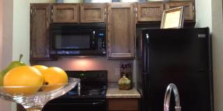 Quail Creek Gallery 12