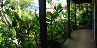 Coconut Inn Gallery 27