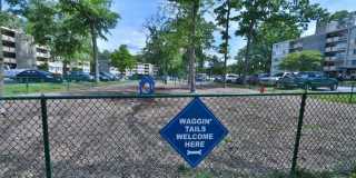 Flora Park Gallery 25