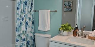 Palms of Clearwater Gallery 41