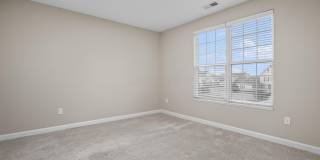 5151 Foxtail Pine Street Gallery 22