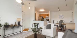 Affordable Housing - Pinewood Apartments Gallery 18