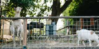 The Canyons Gallery 27