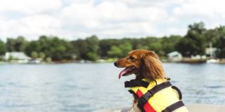 Sweetwater Waterfront Apartment Homes Sweetwater Waterfront Apartment Homes Gallery 46