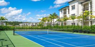 Town Treeline Gallery 12