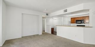 Venicia Gallery 28