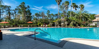 Paradise Island Gallery 36