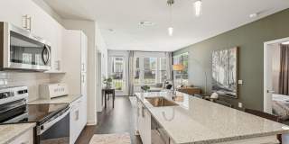 Ascend at Carlton Gallery 67