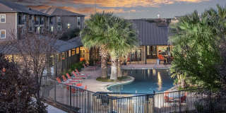 The Palmera Gallery 17