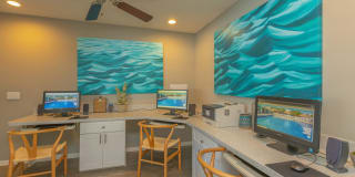 Ariel Springs Gallery 13