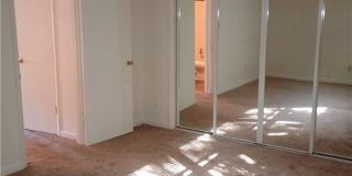 2219 Pine Shore Court Gallery 12