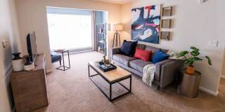 Legacy at Linden Park Gallery 21