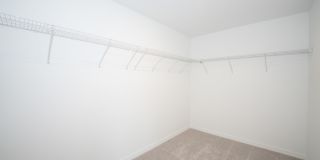 22430 Blazing Star Run Gallery 16