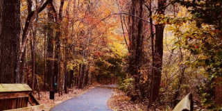 Huntington Gallery 1