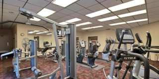 955 Dotterel Road Gallery 45