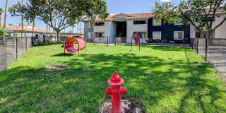 Emerald Springs Gallery 6