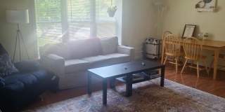 HUge 3 bed in Brighton Gallery 8