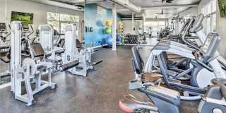 Museum Park Museum Park Gallery 9