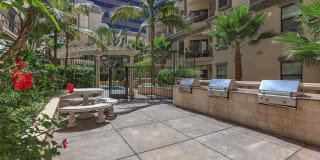 The Piero Gallery 16