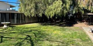 615 Alpha CT Gallery 16