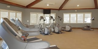 The Palms The Palms Gallery 20