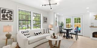 The Dark Horse — Style in the Heart of St. Pete Gallery 1