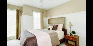 23421 SPICE BUSH Terrace Gallery 22