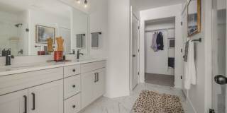 Mt. Rainier Gallery 24