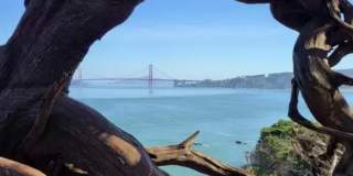 270 25th Avenue Gallery 19