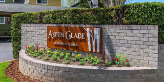 Aspen Glade Gallery 1