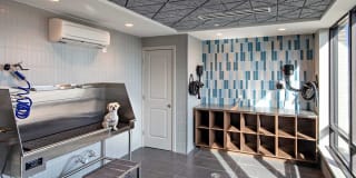 Avalon 555 President Gallery 35