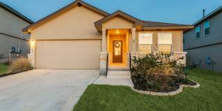 155 Firetail Gallery 1