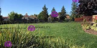 2103 Maidenhair Way Gallery 15