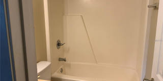 233 RED MAPLE PLACE Gallery 4