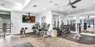 Markethaus 3700 Gallery 12