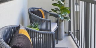 The Grove On Main Gallery 12