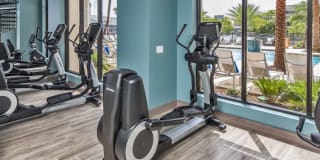 2Bayshore Gallery 42