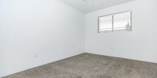 Palisade Park Gallery 41