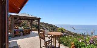 4 Le Conte Gallery 52