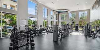 AMLI Cherry Creek Gallery 6