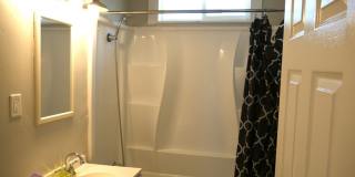 Cozy 2 Bed 1 Bath 728qft single family home in Oak Park Gallery 14
