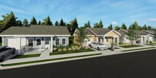 Allier Heartwood Gallery 24