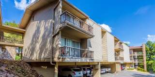 Woodland Terrace Gallery 52