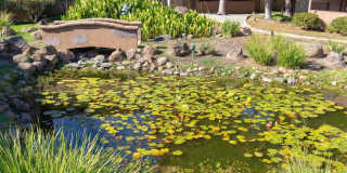 Modern 2-Bedroom Condo with Pool and Koi Pond Views Gallery 39